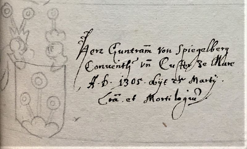 Datei:Guntram vonSpiegelberg Wappen.jpg