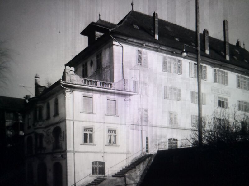 Datei:Roter Löwe Muri.jpg