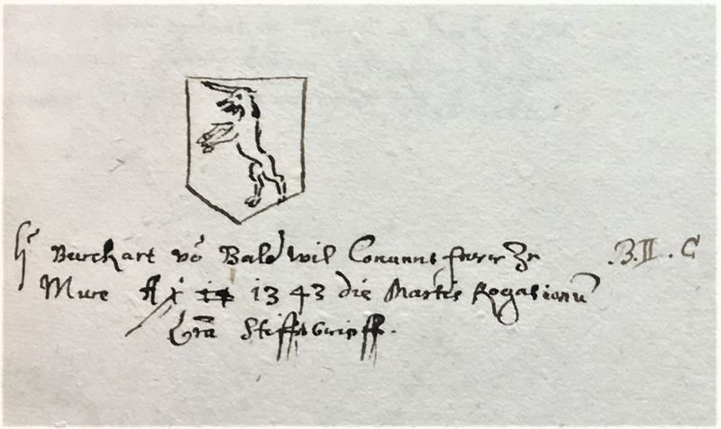 Datei:Burkard vonBallwil Wappen.jpg